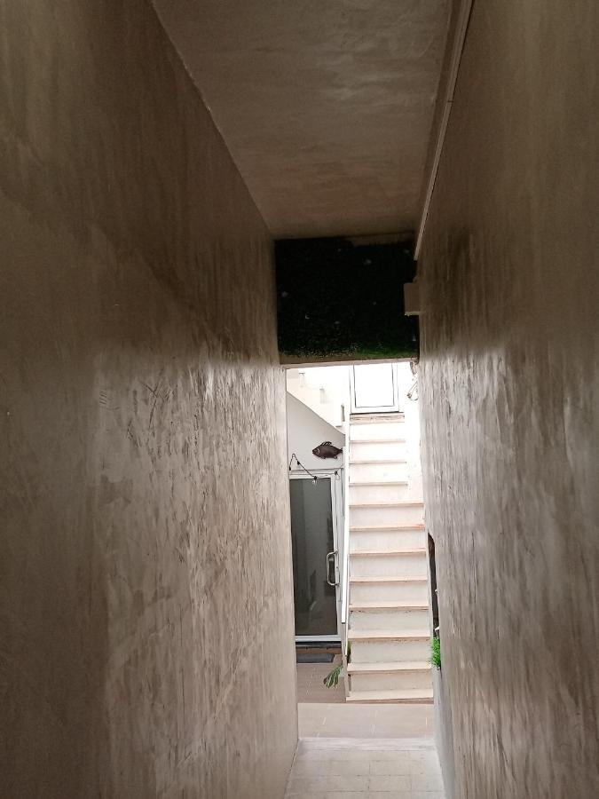 Estudio Dos Bones نازاريه المظهر الخارجي الصورة